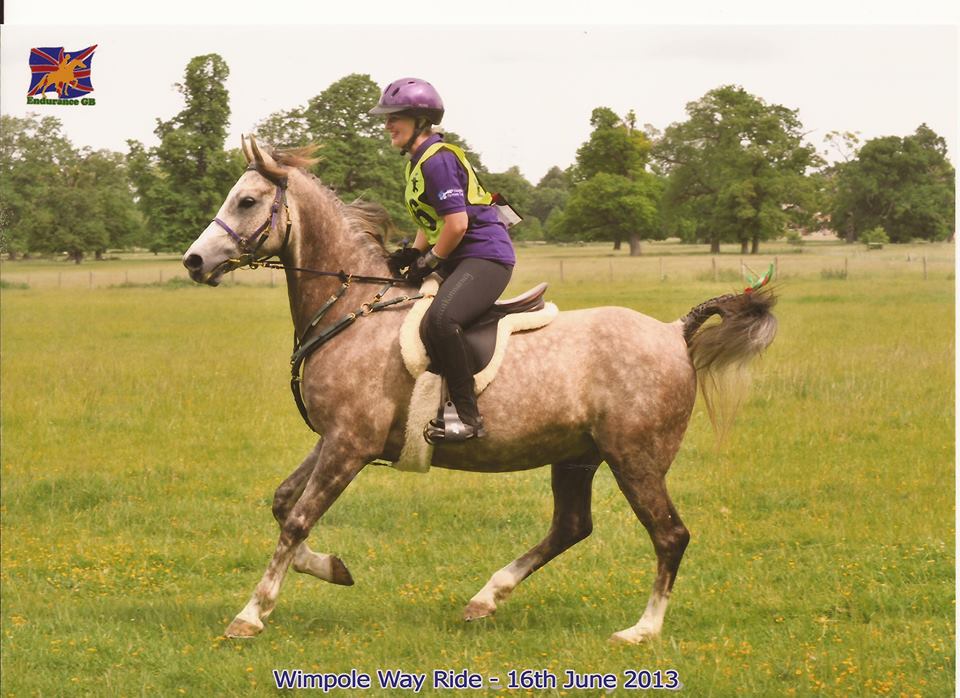 Seren Rigel at the Wimpole Way Ride